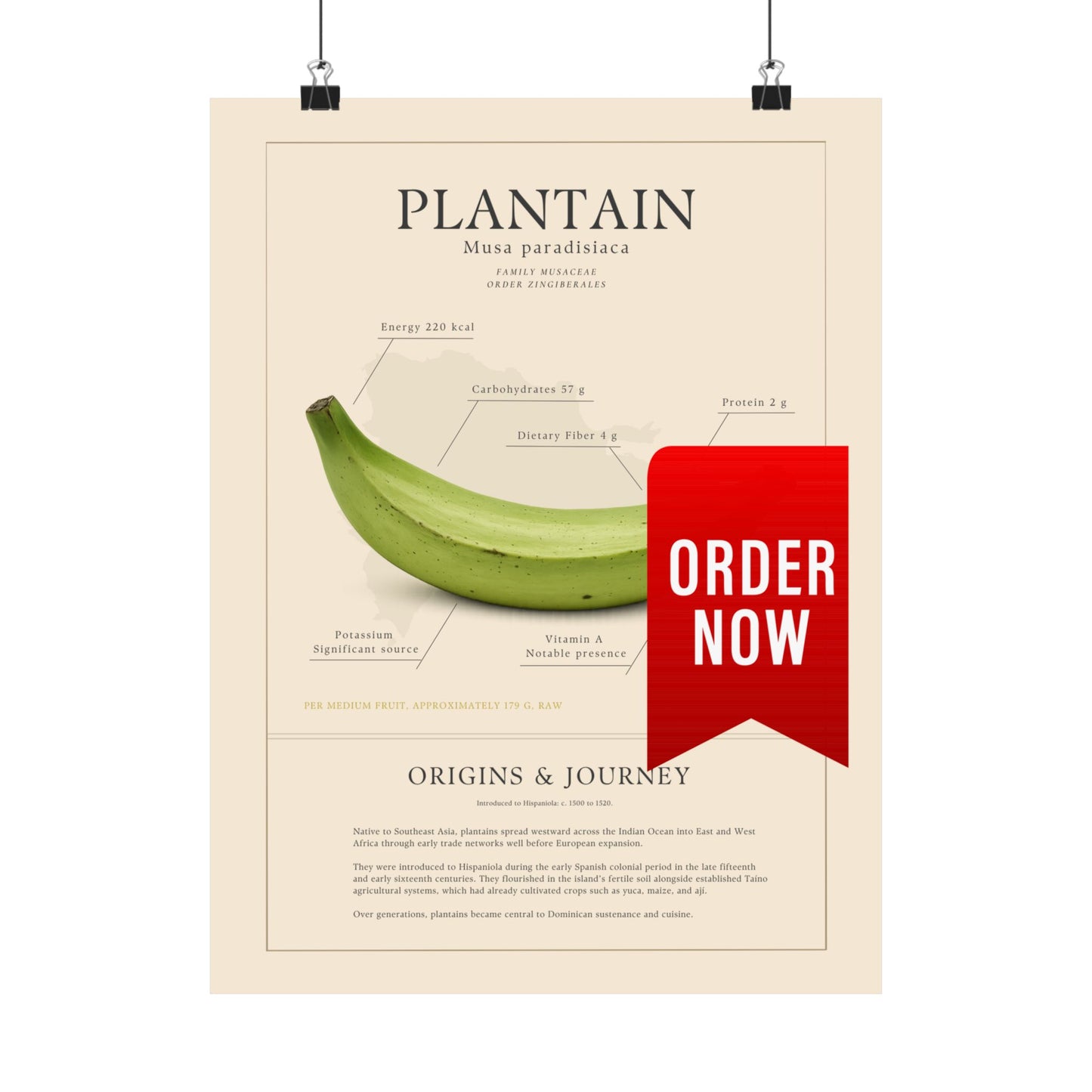 Plantain History Definition Matte Poster — Print Celebrating Culture & Pride