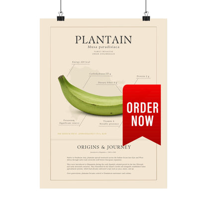 Plantain History Definition Matte Poster — Print Celebrating Culture & Pride