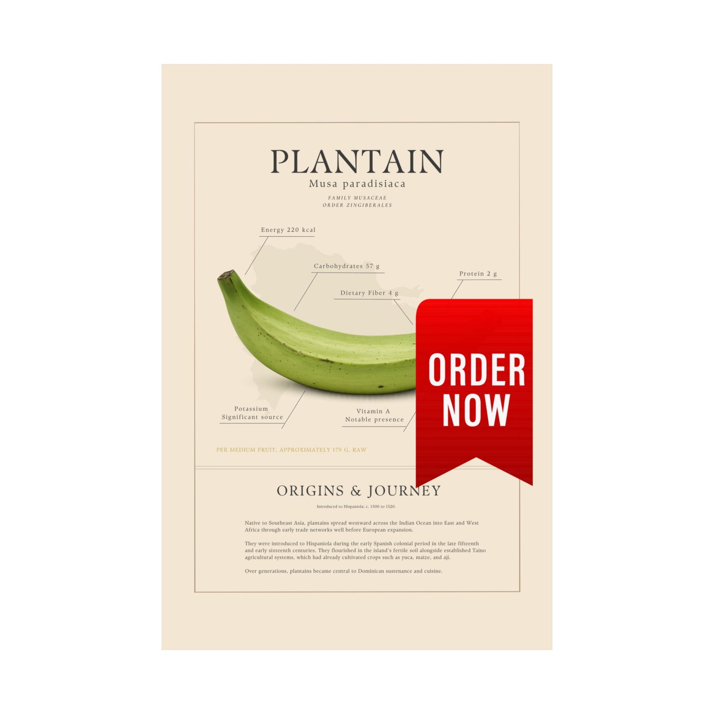 Plantain History Definition Matte Poster — Print Celebrating Culture & Pride