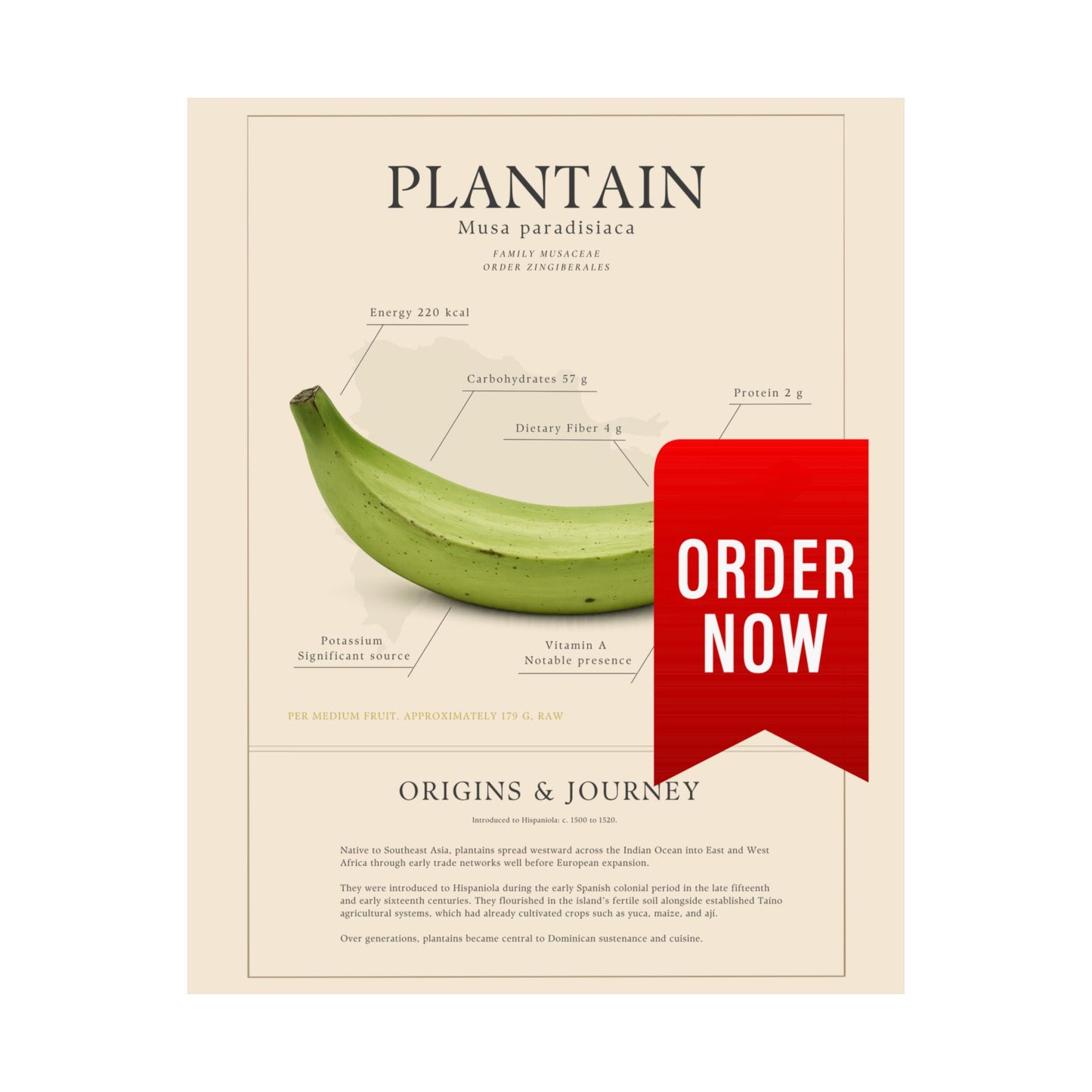 Plantain History Definition Matte Poster — Print Celebrating Culture & Pride