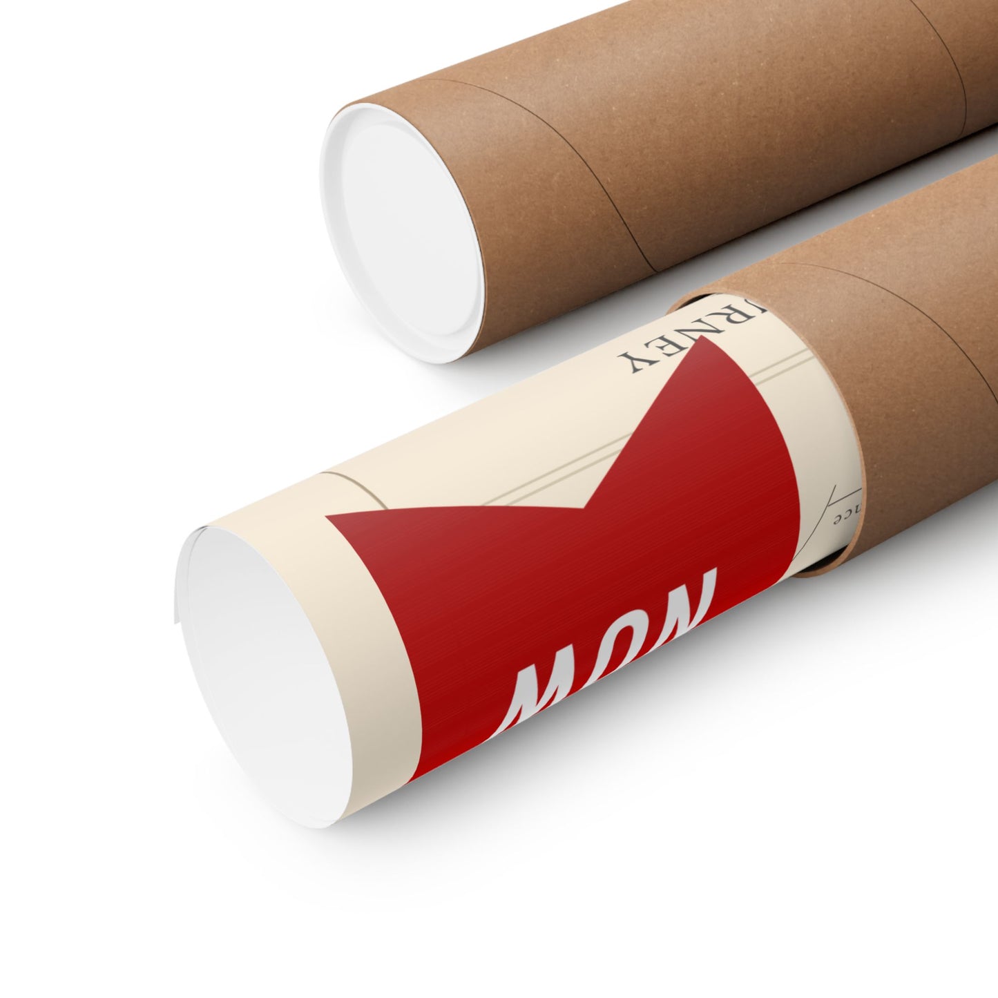 Plantain History Definition Matte Poster — Print Celebrating Culture & Pride