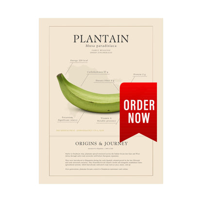 Plantain History Definition Matte Poster — Print Celebrating Culture & Pride