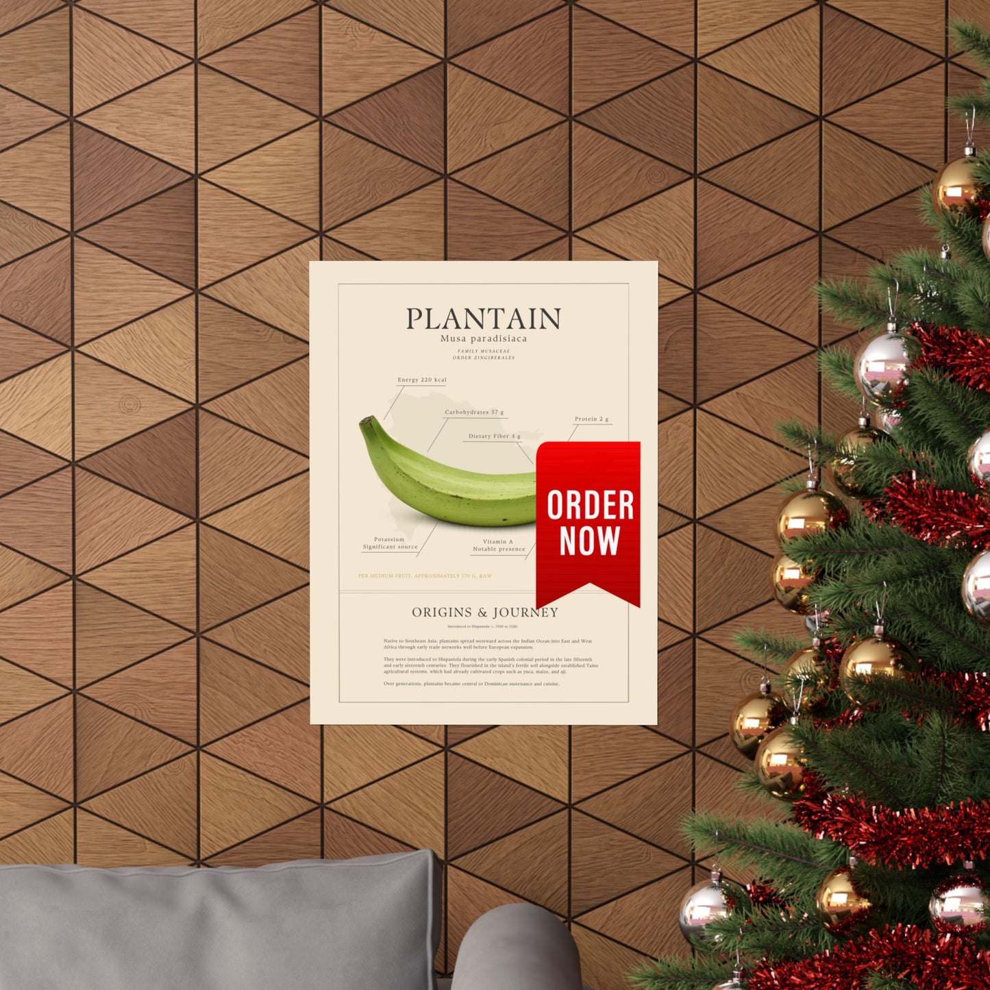 Plantain History Definition Matte Poster — Print Celebrating Culture & Pride