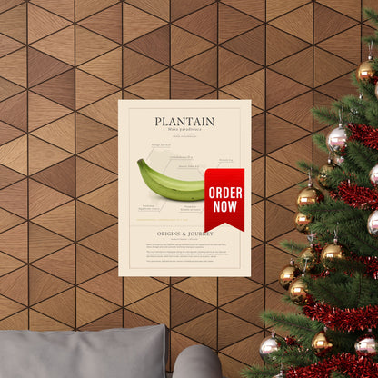 Plantain History Definition Matte Poster — Print Celebrating Culture & Pride