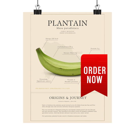 Plantain History Definition Matte Poster — Print Celebrating Culture & Pride